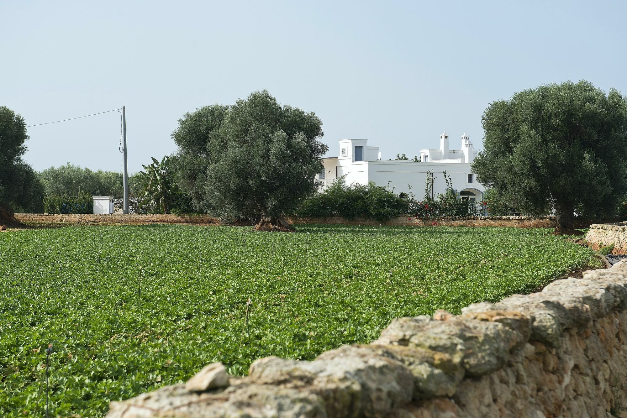 Masseria Don Luigi-Luxury Farmhouse Savelletri Exterior foto